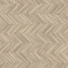 Mflor - Parva Oak - Sardinia (41219)