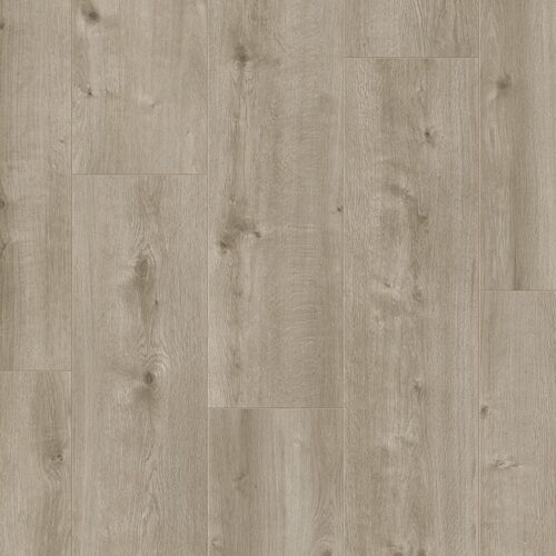 Lifestyle - Rose - Hydro - Wide (5475)