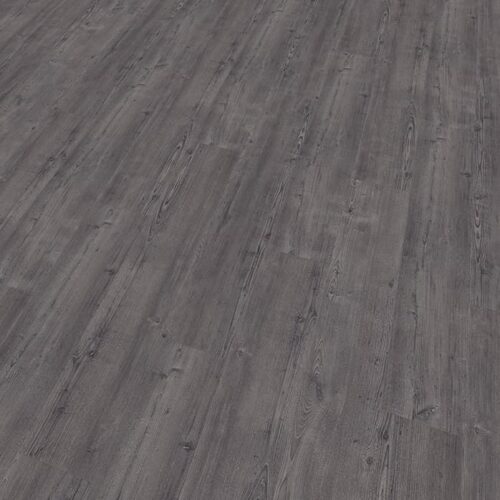 Mflor - Argyll Fir - Montrose (75115)