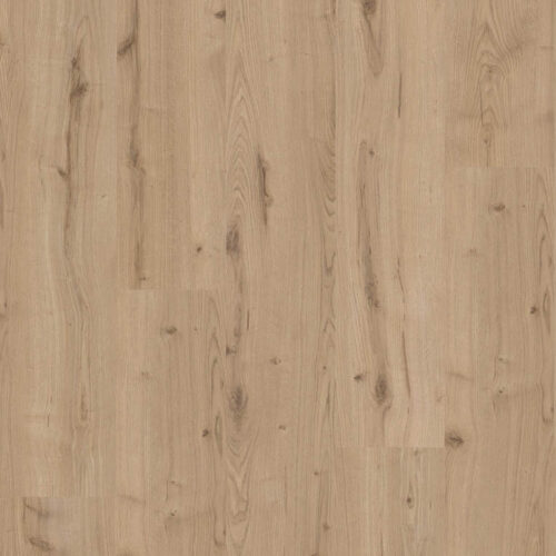 Beautifloor - Ardennen - Salle (BTF 467)