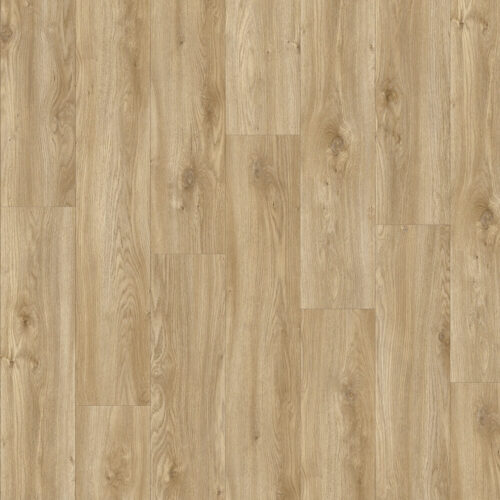 Moduleo Roots EIR Sierra Oak 58346 Dryback