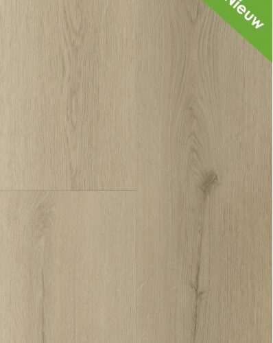 Gelasta - Sierra - 3000 Smoked (Rigid Click)