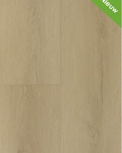 Gelasta - Sierra - 2002 Light (Dryback)