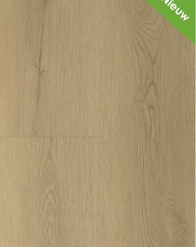 Gelasta - Sierra - 2003 Natural (Dryback)