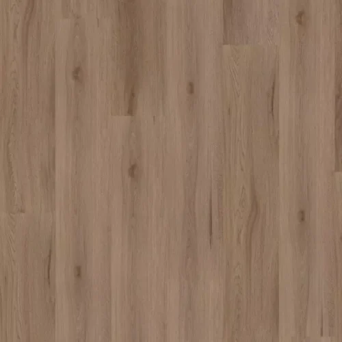 Ambassador Dryback Kansas 59