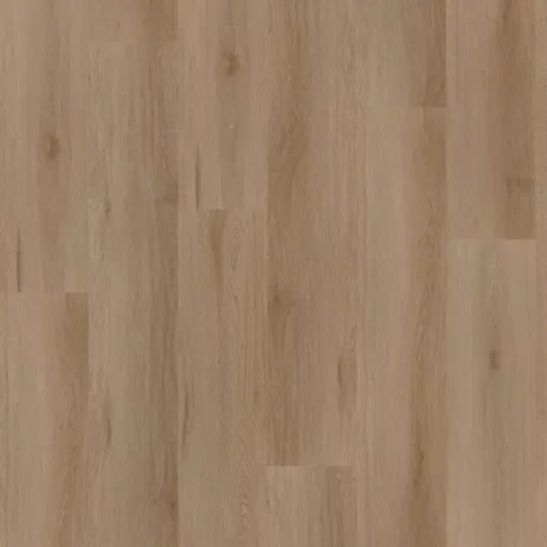 Ambassador Dryback Nebraska 60