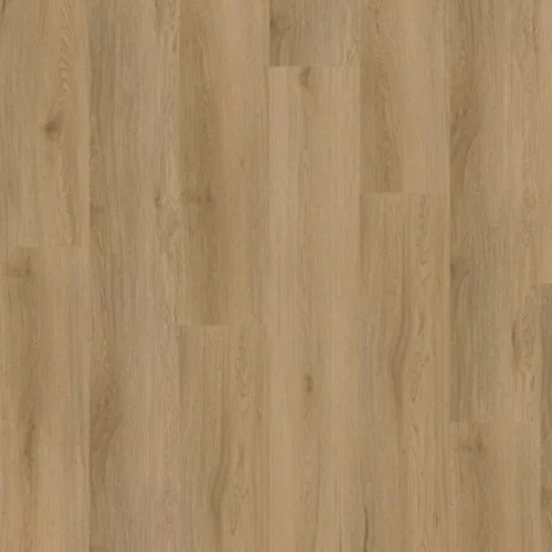 Ambassador Dryback Washington 62