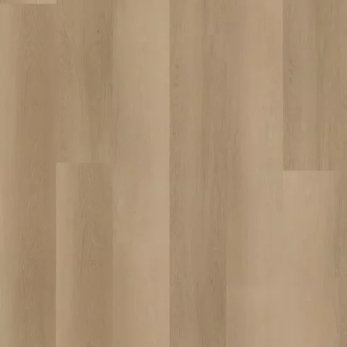 Ambassador Dryback Vermont 12