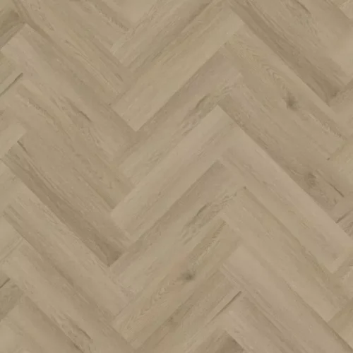 Ambassador Dryback Visgraat Galgary 31