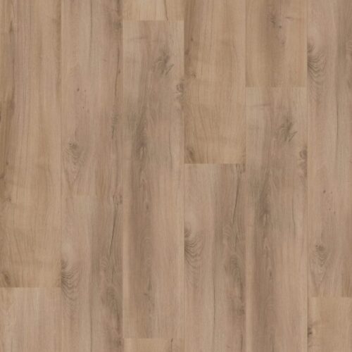 Royal XL V2 Ararat 4927