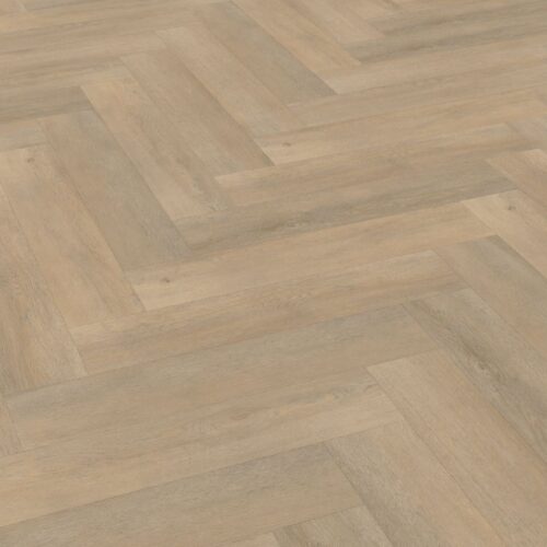 Belakos - Palazzo visgraat XL 71