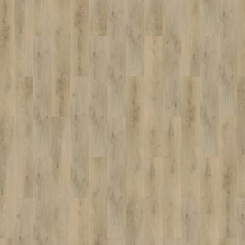 Mflor - Colton - Damian (62331)