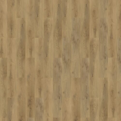 Mflor - Colton - Ralph (62335)