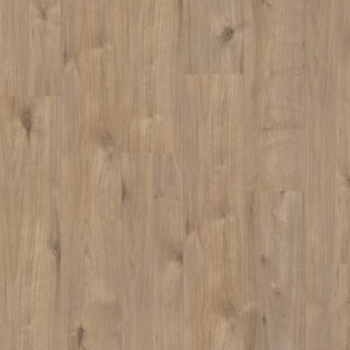 Royal XL V2 Aqua Protect 969 Holterberg