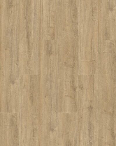 Oakland 6104 (dryback) Smoked