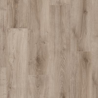 Saffier Serenade SE 619 Winnipeg Oak