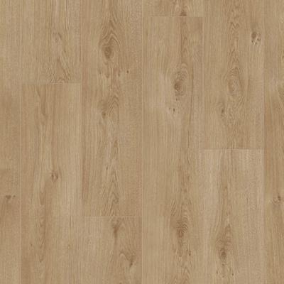 Saffier Serenade SE 680 Edmonton Oak