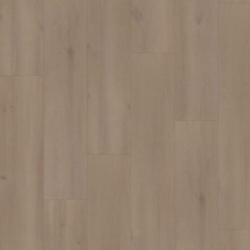 Elite XL V4 Spaarne 6081